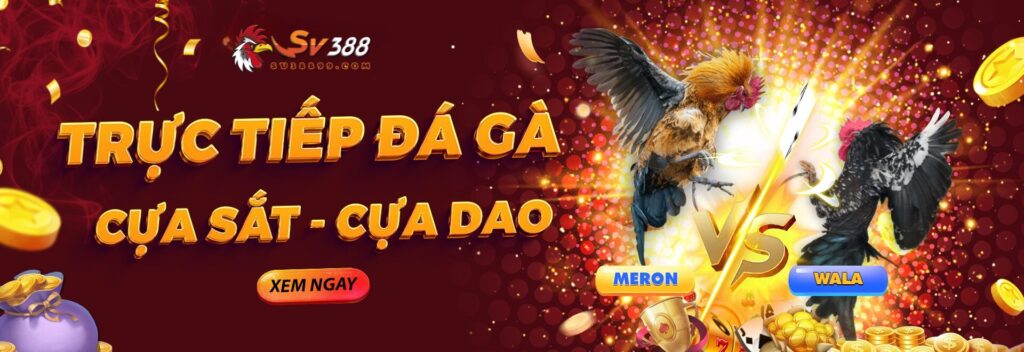 Banner đá gà nhà cái SV388 uy tín