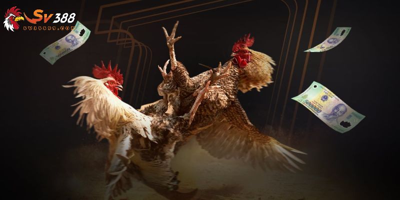 Hướng dẫn cách thức rút tiền SV388 nhanh chóng