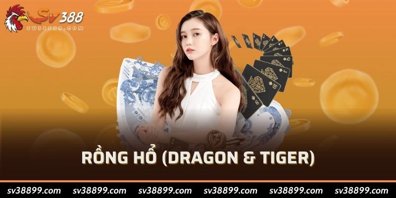 Rồng Hổ (Dragon & Tiger)